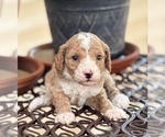 Image preview for Ad Listing. Nickname: MIA