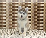 Image preview for Ad Listing. Nickname: Wrigley