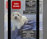 Image preview for Ad Listing. Nickname: Ulsa