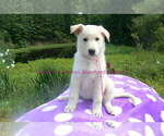 Image preview for Ad Listing. Nickname: Cherry Blossom