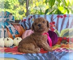 Image preview for Ad Listing. Nickname: Fantastic
