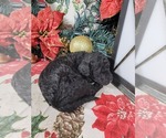  - Photo #5