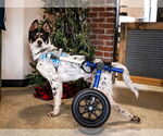 Small #1 Breeder Profile image