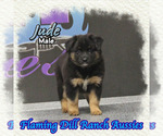 Image preview for Ad Listing. Nickname: Jude