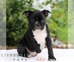Image preview for Ad Listing. Nickname: Clayton