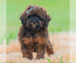  - Photo #2
