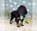 Image preview for Ad Listing. Nickname: Benson