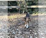 Small #2 Breeder Profile image