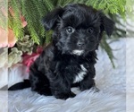 Image preview for Ad Listing. Nickname: Marjie