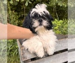 Image preview for Ad Listing. Nickname: Roman