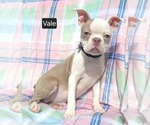 Image preview for Ad Listing. Nickname: Vale