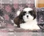 Image preview for Ad Listing. Nickname: Lance