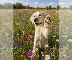 Small #3 Breeder Profile image