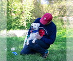 Small #6 Labrador Retriever Mix