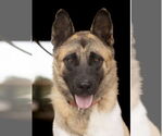 Small #3 Breeder Profile image