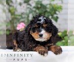 Image preview for Ad Listing. Nickname: Jace