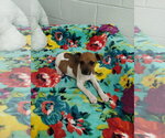 Small #3 Jack Chi