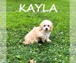 Image preview for Ad Listing. Nickname: Kayla