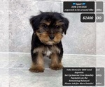 Image preview for Ad Listing. Nickname: Squirt