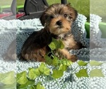 Image preview for Ad Listing. Nickname: Finn