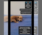 Image preview for Ad Listing. Nickname: Vance
