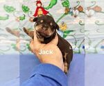 Image preview for Ad Listing. Nickname: Jack