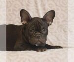 Image preview for Ad Listing. Nickname: Cody