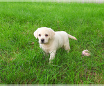 Image preview for Ad Listing. Nickname: Jamie