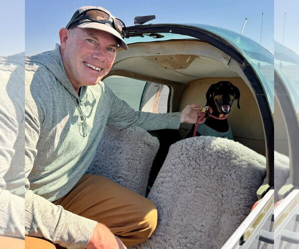 Medium Photo #8 Doberman Pinscher Puppy For Sale in Buffalo, MN, USA