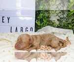 Image preview for Ad Listing. Nickname: KEY LARGO