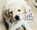  - Photo #5