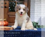Image preview for Ad Listing. Nickname: Lori