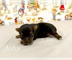 Image preview for Ad Listing. Nickname: Tiny John