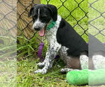 Small #1 Mutt