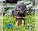 Small #3 Rottle