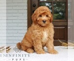 Image preview for Ad Listing. Nickname: Storm