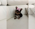 Image preview for Ad Listing. Nickname: Mia
