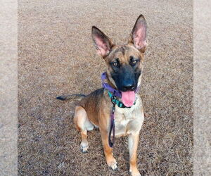 Main medium Rescue Organization Photo