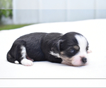Image preview for Ad Listing. Nickname: Gday