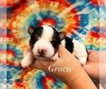 Image preview for Ad Listing. Nickname: Grace