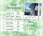 Small Poodle (Miniature) Mix