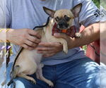 Small Chug