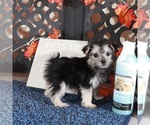Image preview for Ad Listing. Nickname: Silver Teacup