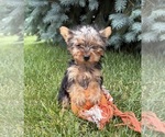 Image preview for Ad Listing. Nickname: Jinger