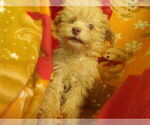 Image preview for Ad Listing. Nickname: CARMEL