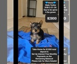 Image preview for Ad Listing. Nickname: Vinnis