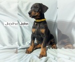 Image preview for Ad Listing. Nickname: John