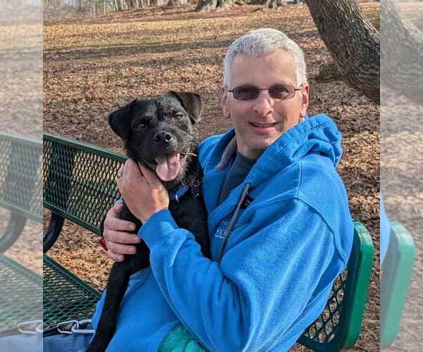 Medium Photo #2 Mutt Puppy For Sale in Kennesaw, GA, USA