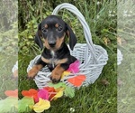 Image preview for Ad Listing. Nickname: Raegan