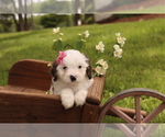 Image preview for Ad Listing. Nickname: Lily